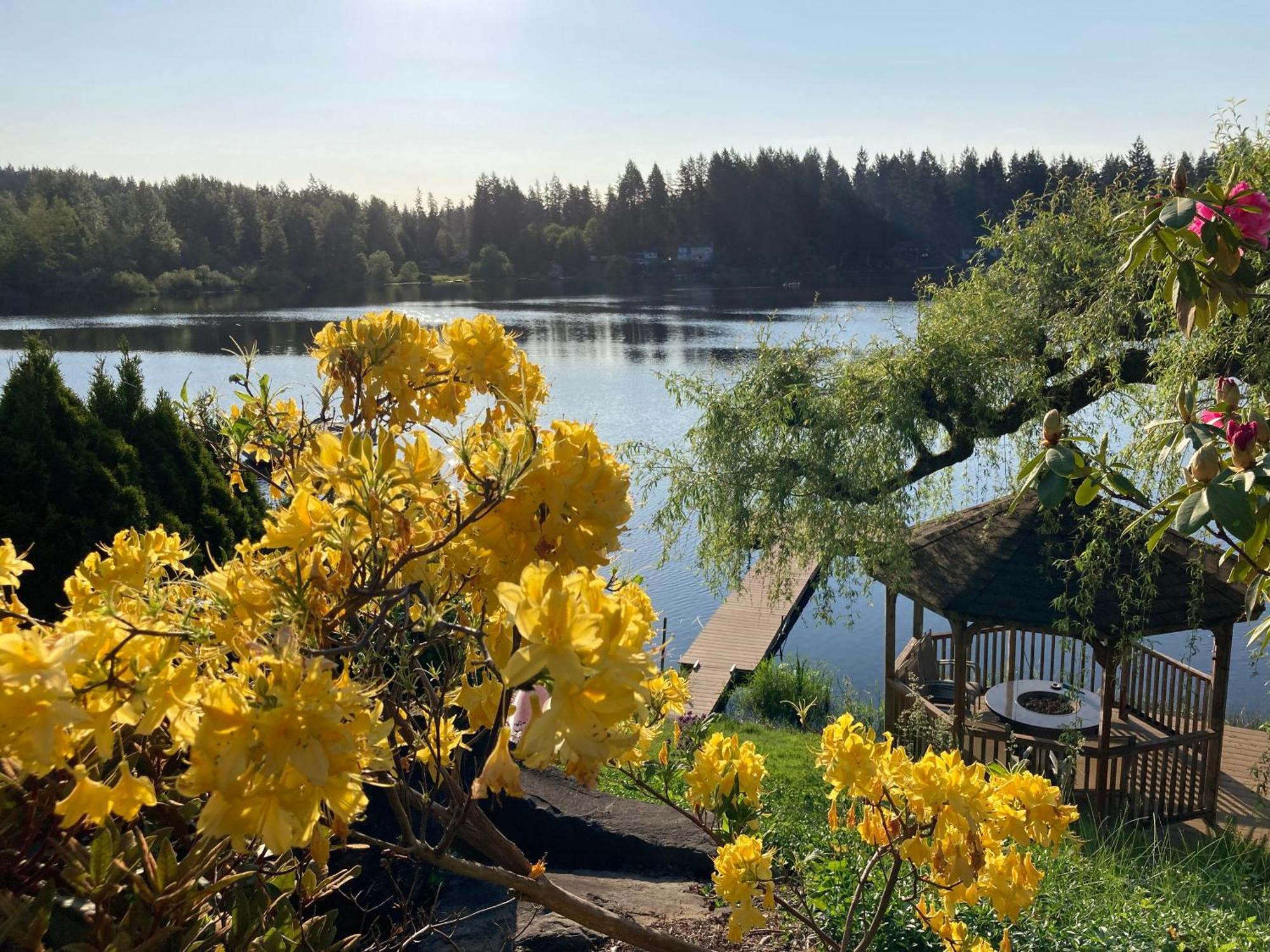 Cottage Lake Bed And Breakfast Вудинвилл Экстерьер фото