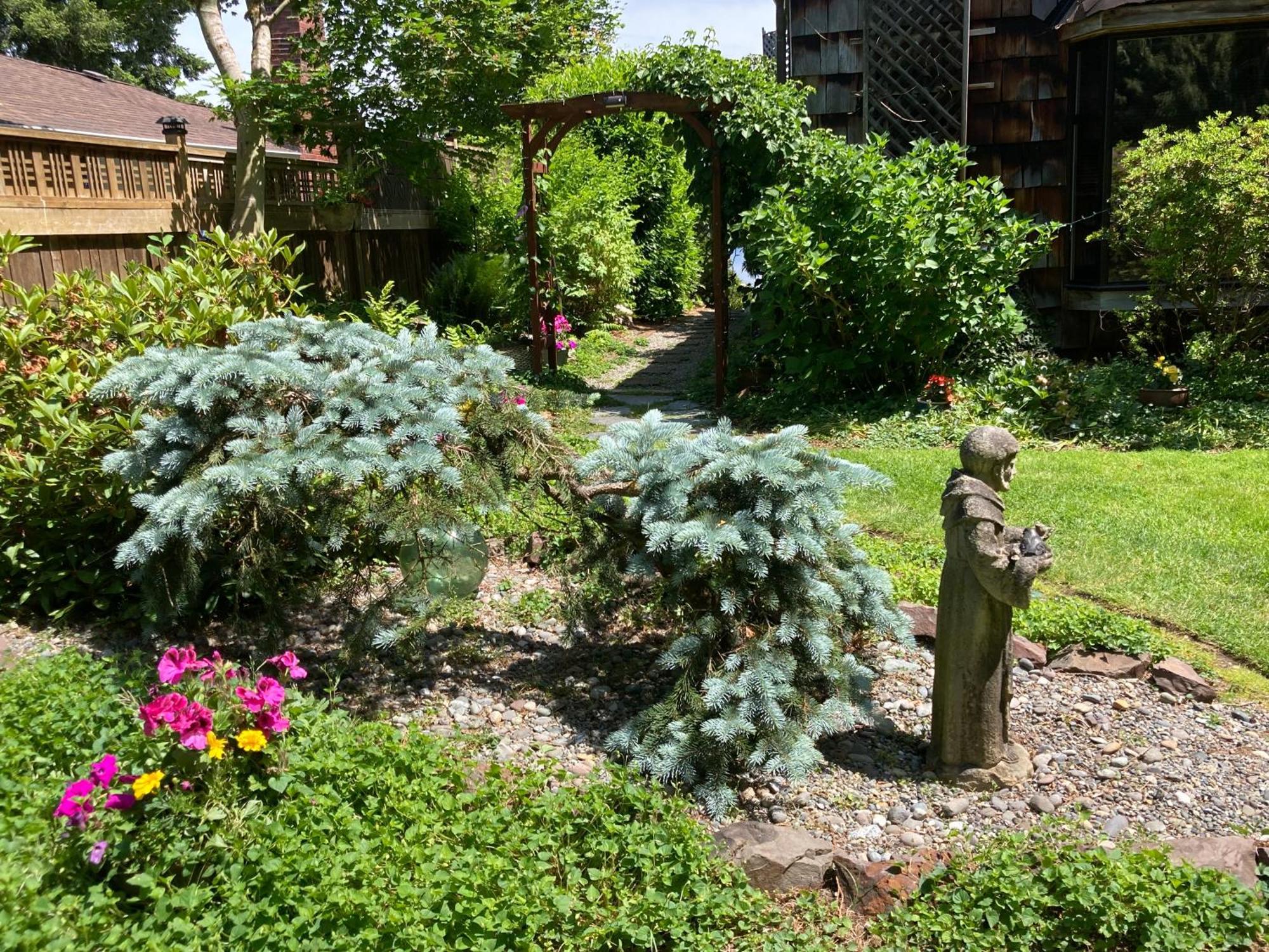 Cottage Lake Bed And Breakfast Вудинвилл Экстерьер фото