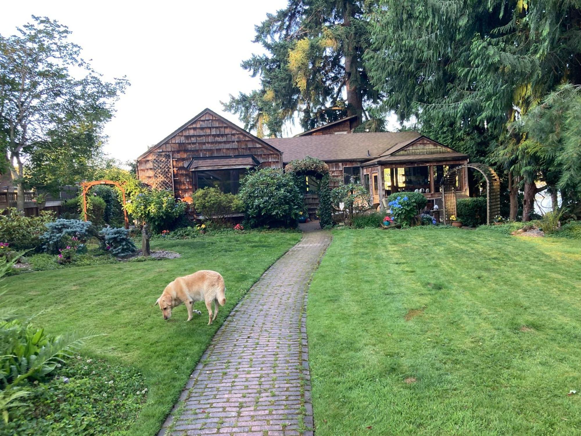 Cottage Lake Bed And Breakfast Вудинвилл Экстерьер фото