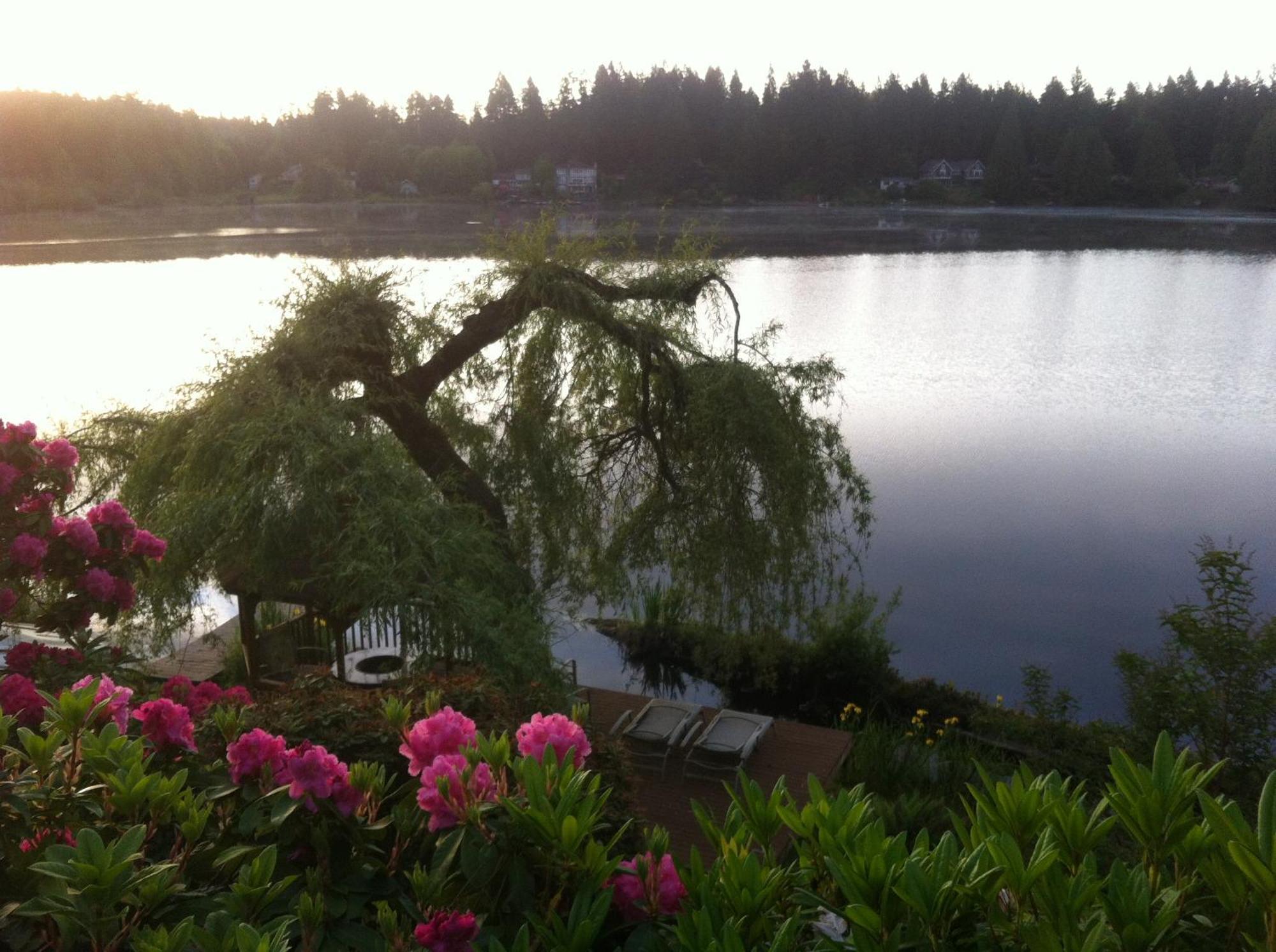 Cottage Lake Bed And Breakfast Вудинвилл Экстерьер фото