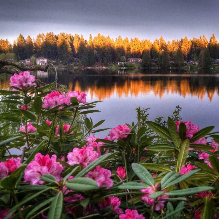 Cottage Lake Bed And Breakfast Вудинвилл Экстерьер фото